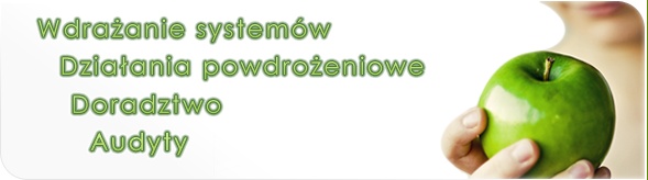 Wdrażanie iso - Quality ED